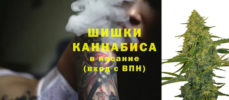 Шишки марихуана SATIVA & INDICA  как найти закладки  Коломна 